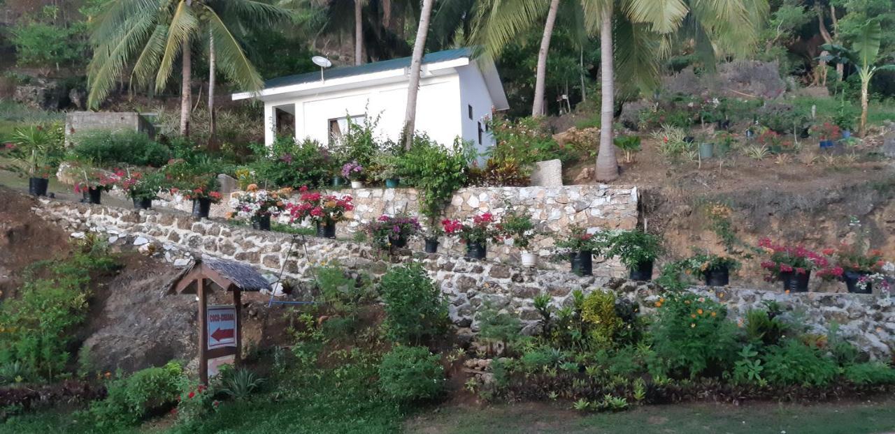 Coco Cabana Romblon Agpanabat Exteriér fotografie