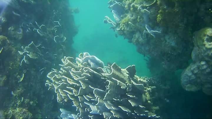 Coco Cabana Romblon Agpanabat Exteriér fotografie