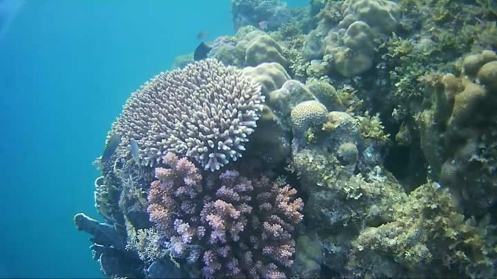 Coco Cabana Romblon Agpanabat Exteriér fotografie